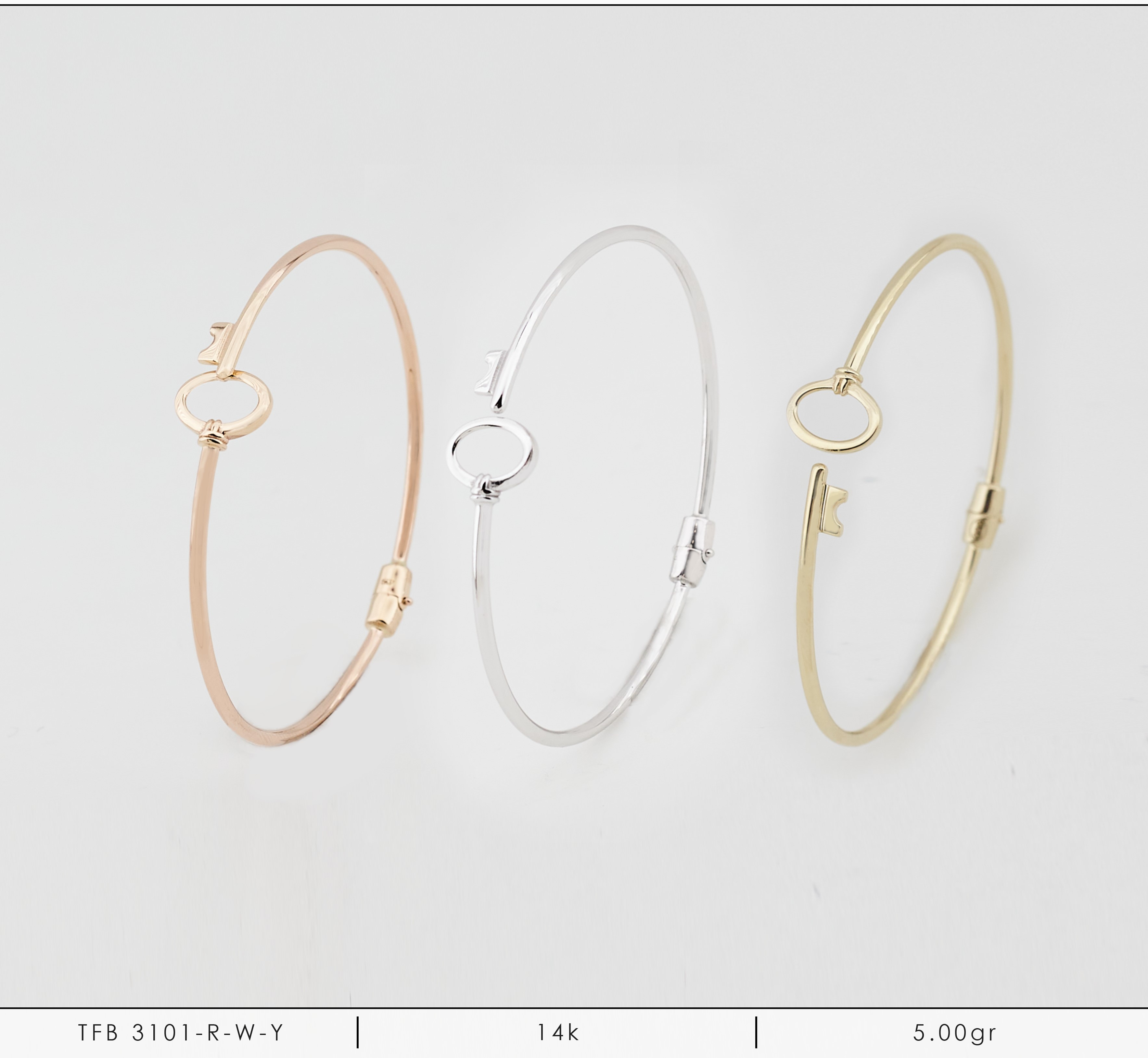TFB 3101-R-W-Y