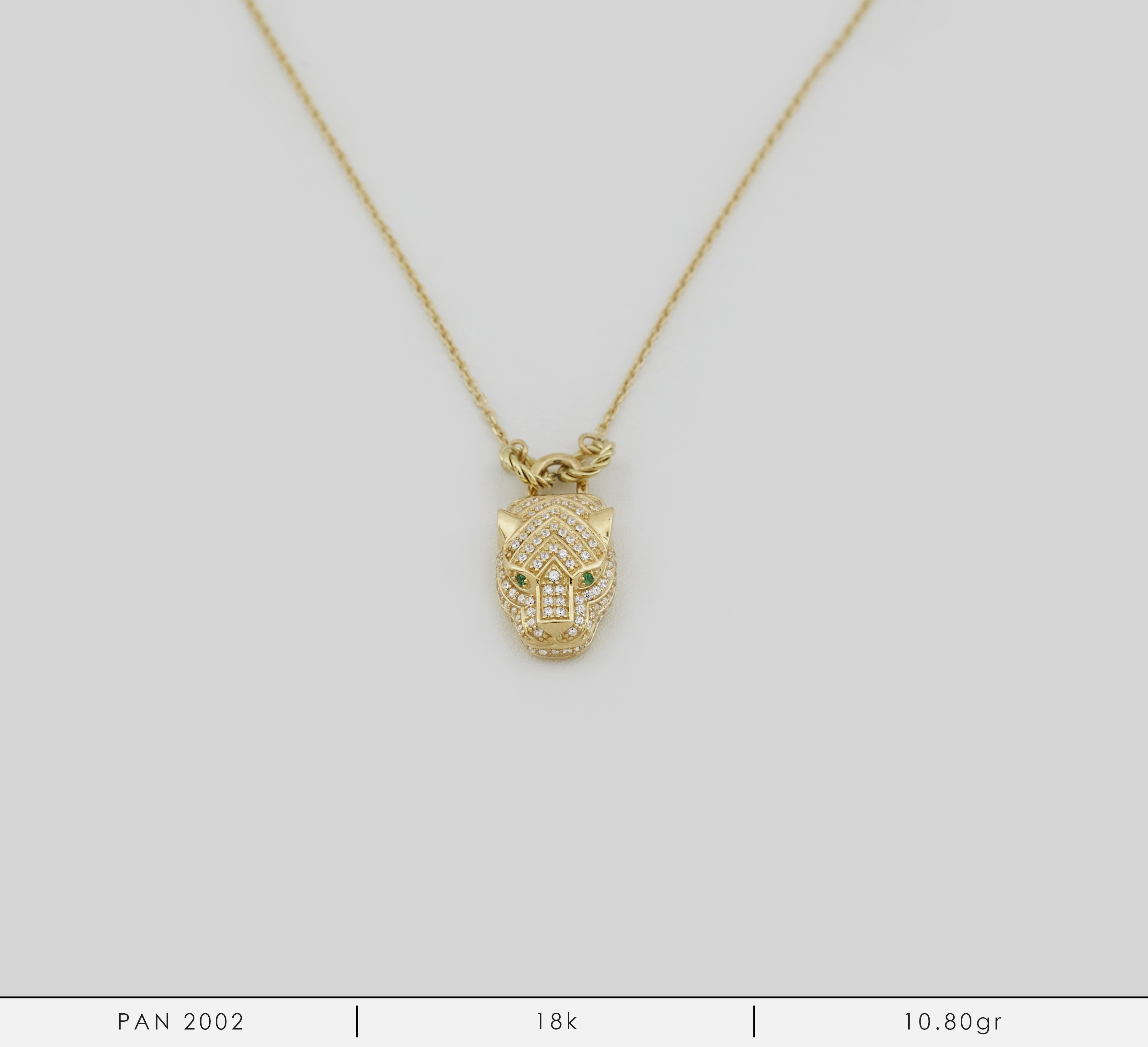 PAN 2002-Y