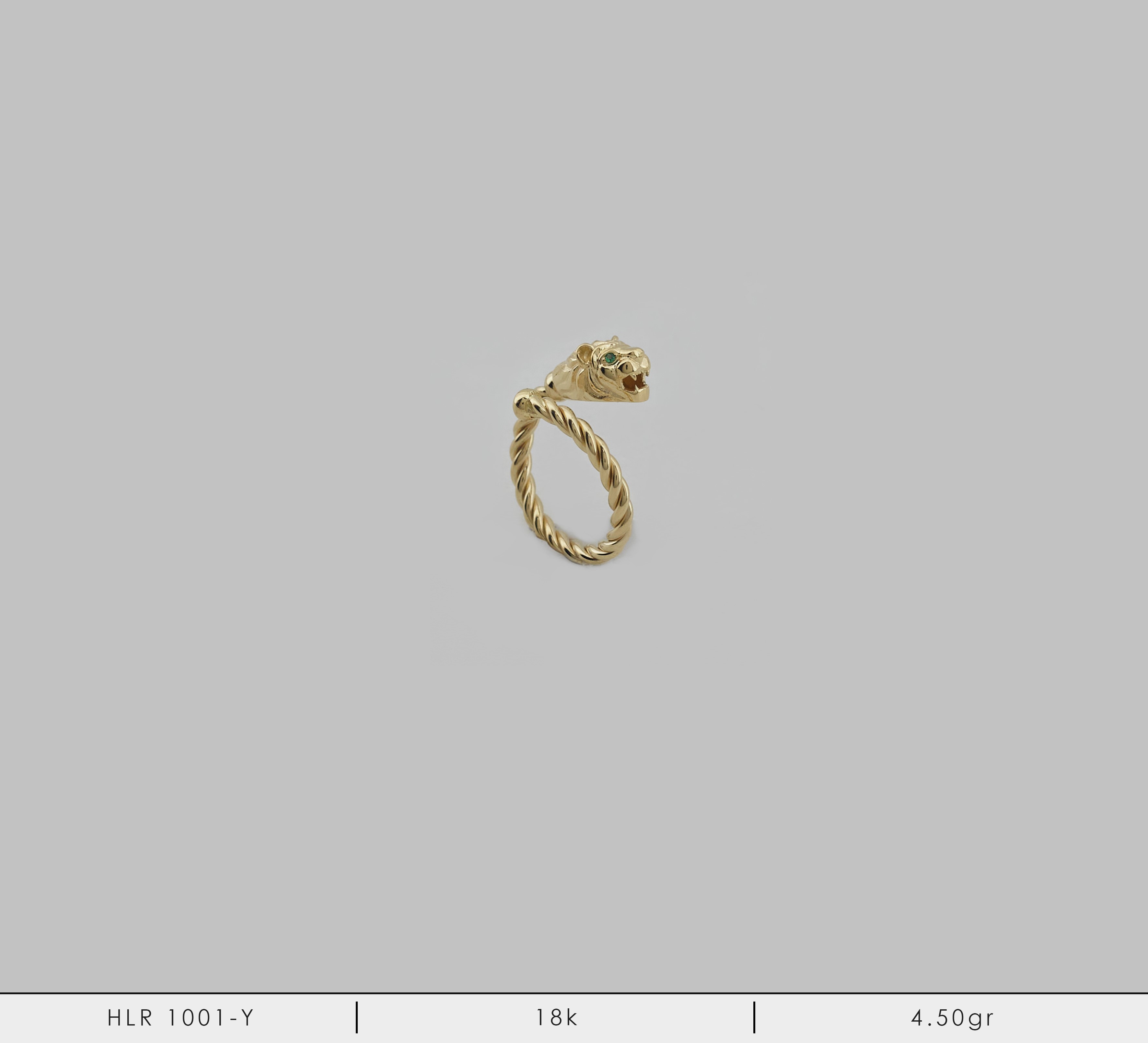 HLR 1001-Y